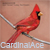 :iconcardinalace: