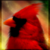 :iconcardinaldreams: