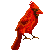 :iconcardinalfeathers: