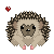 :iconcareerizo: