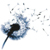 :iconcariaufsafari: