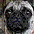 :iconcaribou-is-the-name: