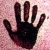 Caridea :iconcaridea: