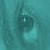 :iconcarinamoon: