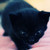 :iconcarinlee: