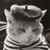 Caritaman :iconcaritaman: