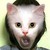 :iconcarlacaracola: