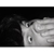 :iconcarlessss: