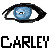 :iconcarley-chan: