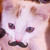 :iconcarliepink: