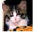 :iconcarlmarklardner: