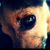 :iconcarlosdan123: