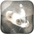 :iconcarlosferret: