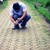 :iconcarlosjosued12: