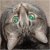 :iconcarly-mcgregor: