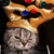:iconcarmaeloxanadu: