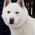 :iconcarmell123: