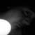 :iconcarmen1972: