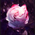:iconcarmenruiz95: