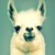 :iconcarnage-349: