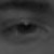 :iconcarnalizard: