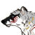 :iconcarnivorewolf: