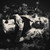 :iconcarnyrabbit: