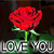 :iconcaro43: