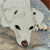 :iconcarol-your-a-llama: