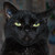 :iconcarole-bm:
