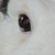 Caroline-CM :iconcaroline-cm: