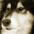 :iconcaroline1211:
