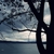 :iconcaroline349: