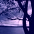 :iconcaroline349: