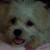 :iconcarolinemobe07: