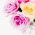 :iconcarolkayla:
