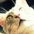 :iconcarolyna71: