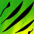 :iconcaroma: