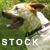 :iconcaroro-stock: