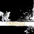 :iconcarousse: