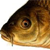 :iconcarpaccount: