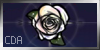 :iconcarpe-diem-academy: