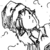 :iconcarpelex: