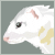 CarpetSharks :iconcarpetsharks: