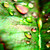 :iconcarpetweaver: