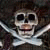 :iconcarriebeanpirates: