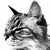 :iconcarriebeth: