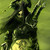 Carrioncrows :iconcarrioncrows: