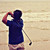 :iconcarrotive: