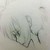 :iconcarry2:
